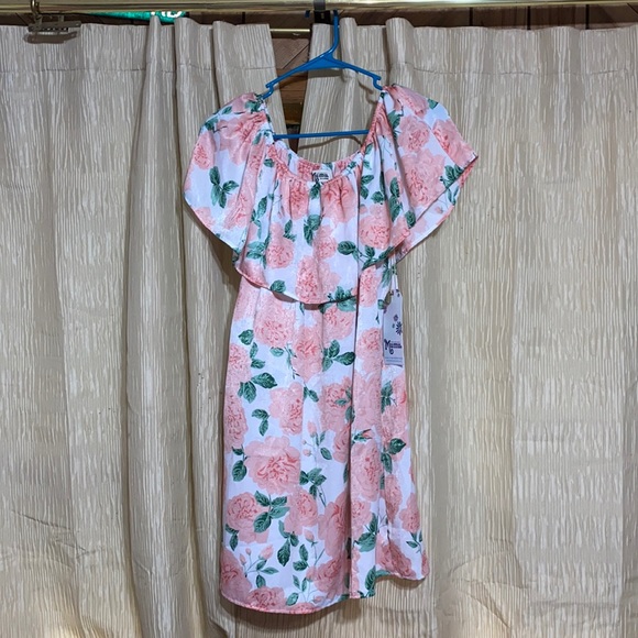 Show Me Your MuMu Dresses & Skirts - BNWT Show me your mumu floral dress! Xl